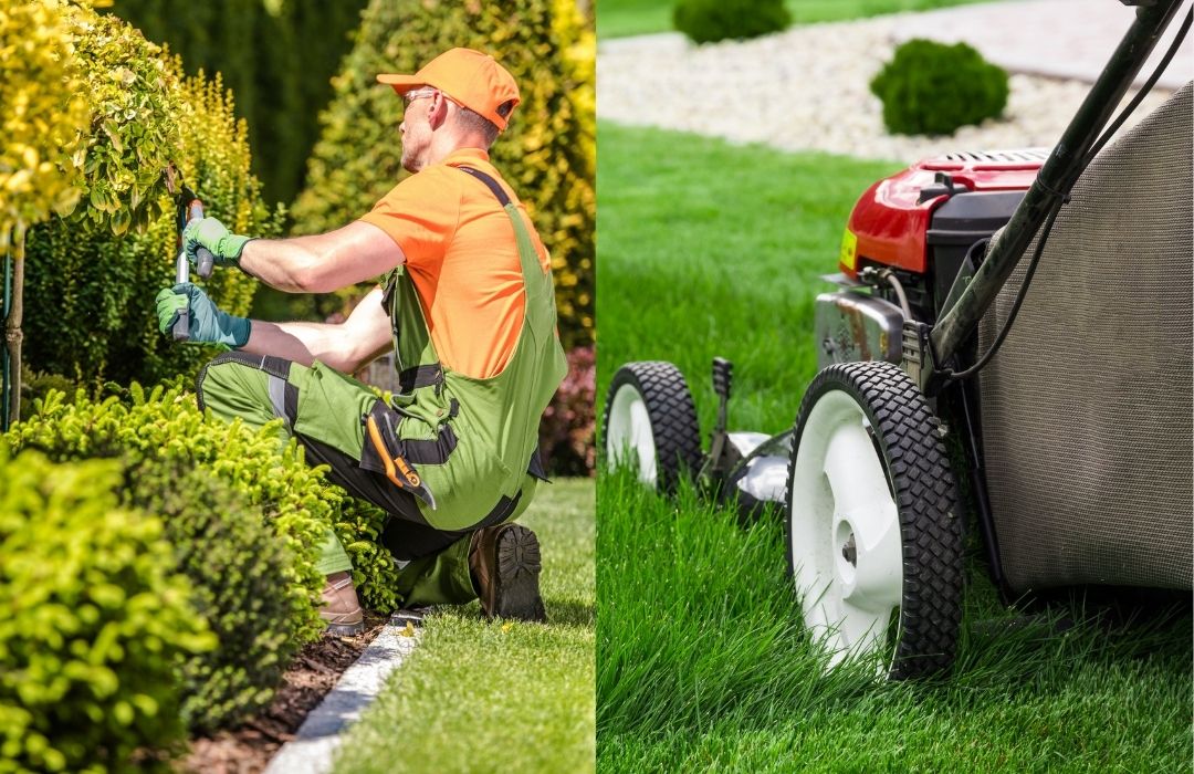 Entretien des espaces verts et tonte du gazon