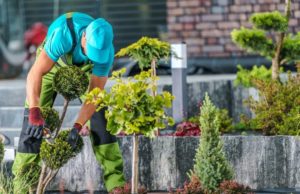 Remise en état d'un jardin