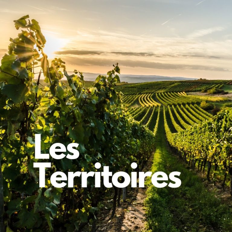 La cave des Monts à Duclair les territoires et vignobles