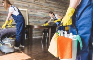entretien nettoyage service à la personne