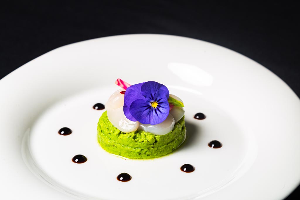 Fraicheur de St Jacques sur sa creme de pois