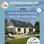 CHAQUE JOUR UN PRO gueudry constructions