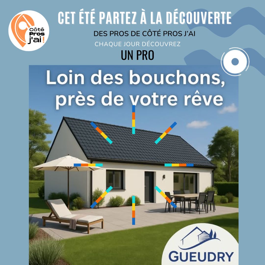 CHAQUE JOUR UN PRO gueudry constructions