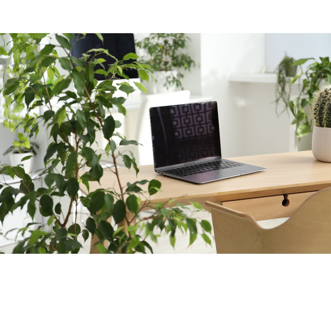 Déco intérieure florale espace