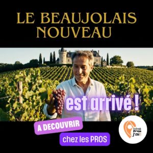 le beaujolais nouveau ( x px)