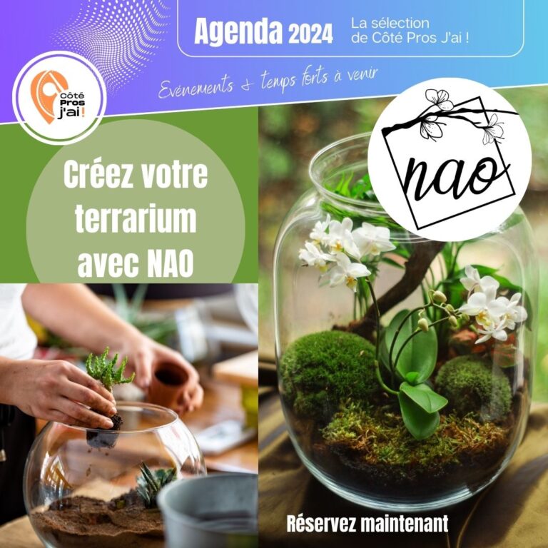 Nao a Darnetal creer un terrarium x