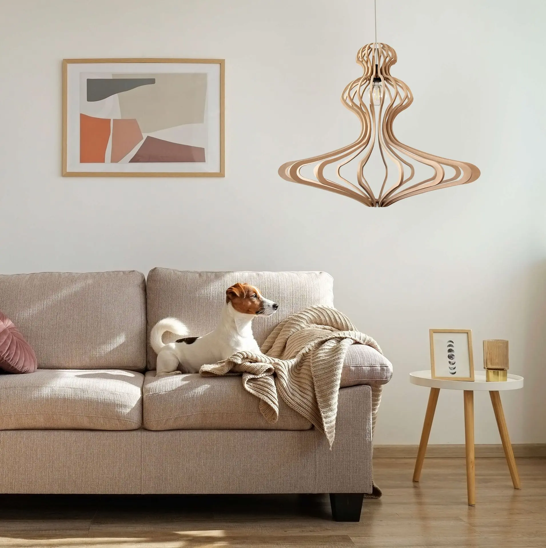 woman ambiance L canape chien zoom