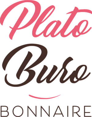 Nouveau logo PlatoBuro mat